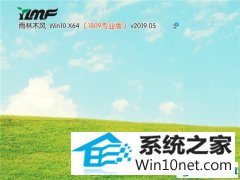 ľ Win10 x641809רҵ棩v2019.05