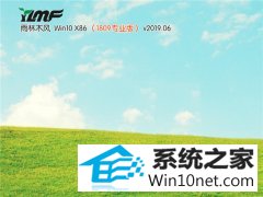雨林木风 Win10 x86（1809专业版）v2019.06