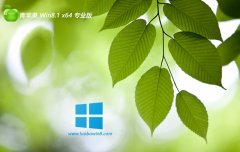 ƻϵͳwin8.1ǿרð64λv2025.11