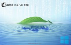 <font color='#339900'>黑鲨系统win8.1 64位 免激活常见功能版v2025.05</font>