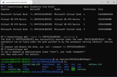 win 7 insider preview Build 20211֧wsL2ϵͳext4ļϵͳ