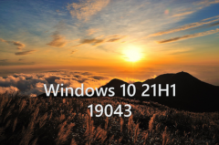 win7 21H1 19043-еĸ